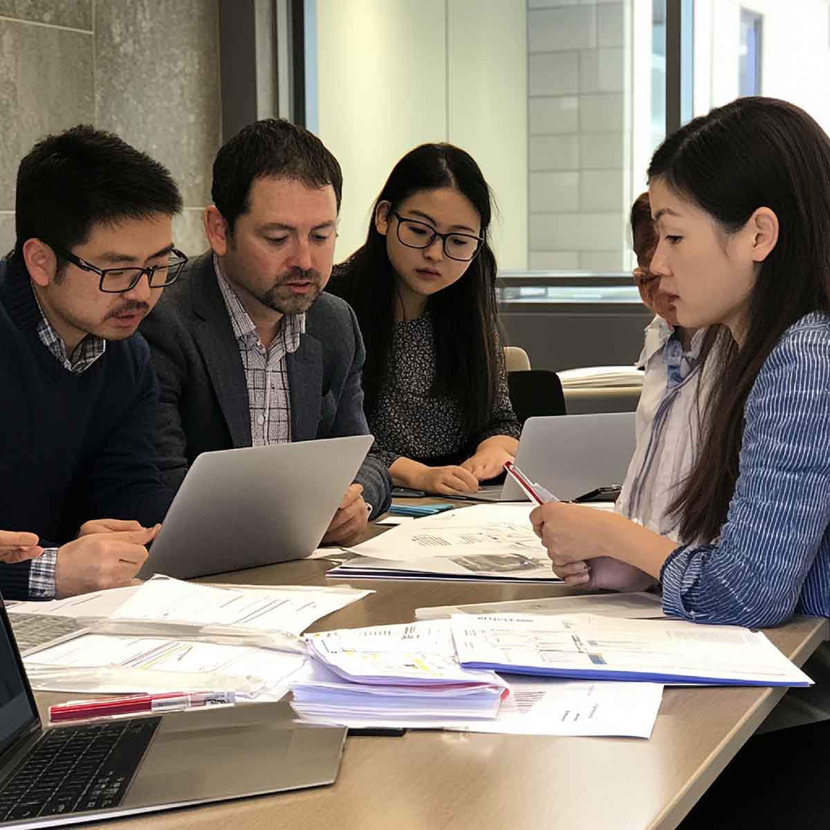 statutory audit under the companies act